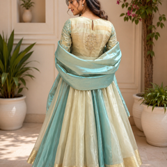 Rasrainaa Noor-e-Mehfil Embroidered Flared Anarkali Gown with Dupatta | Designer Festive Wear
