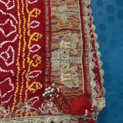 Gaj ghatchola red odhna