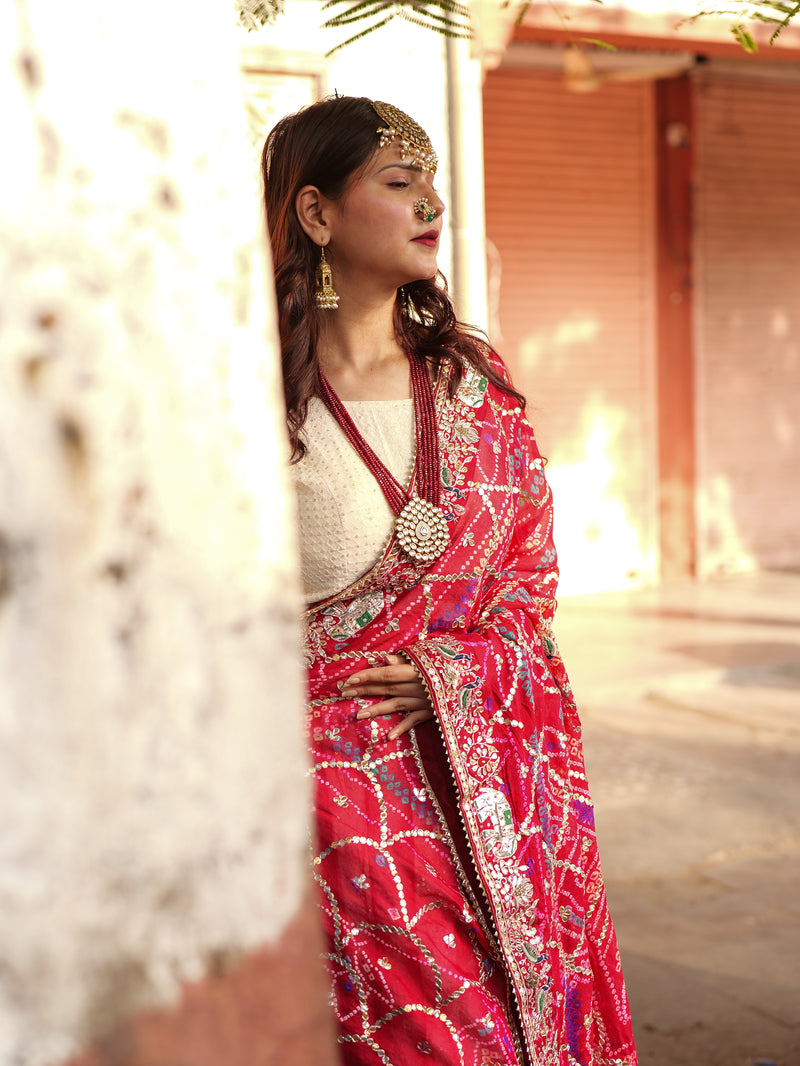 Rangmahal GajMayur