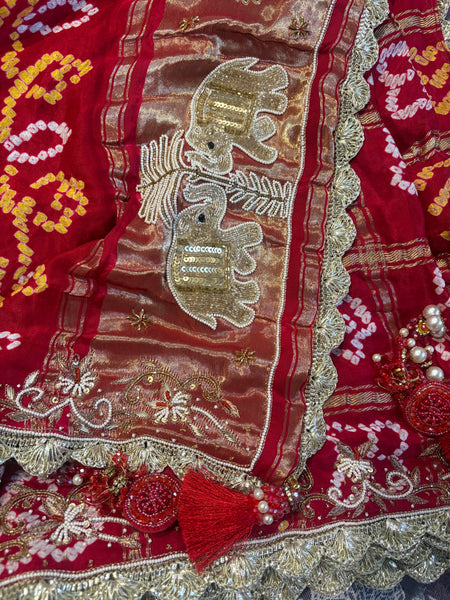 Gaj ghatchola red odhna